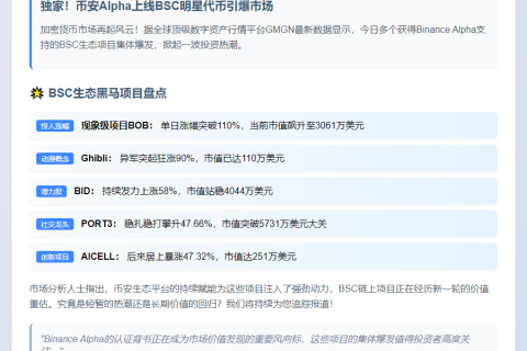 "BSC代币BOB暴涨110%登陆Binance Alpha"