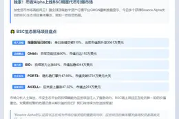 "BSC代币BOB暴涨110%登陆Binance Alpha"