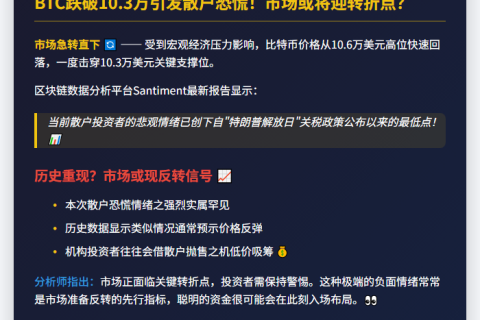 BTC跌破10.3万刀 散户情绪跌至半年最低