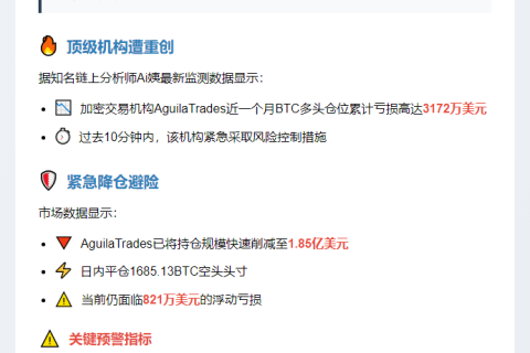 "AguilaTrades月亏3172万 BTC多单重创"