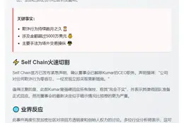 自链CEO涉嫌5000万美元加密诈骗遭罢免