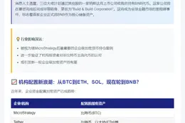 "前对冲基金高管拟募1亿美元建BNB财政策略公司"