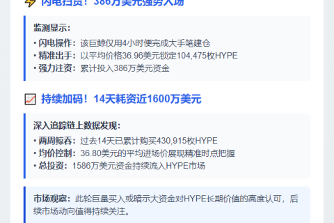 巨鲸4小时斥386万美元购入10.45万HYPE