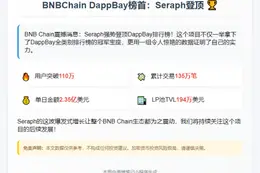 "BNBChain DappBay榜首：Seraph登顶"
