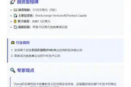 加密公司Zama获5700万美元B轮融资