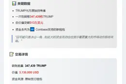 "TRUMP代币转移313万美元至新钱包"