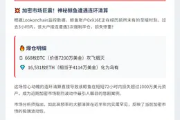 鲸鱼3天亏超千万 3小时再遭3次清算