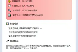 鲸鱼转移1613枚BTC至Binance