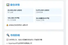 巨鲸2000万USDC入Hyperliquid，597万购165,366 HYPE