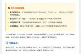 紧急补救：1000万ReUSD坏账处理方案