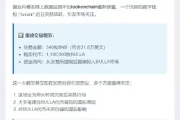 地址3月后豪掷340BNB购119万BULLA