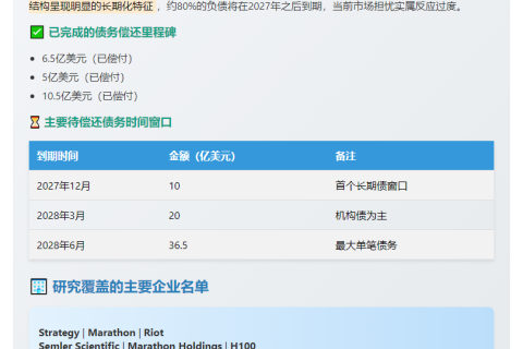 比特币财库债务风险被夸大，超2年到期