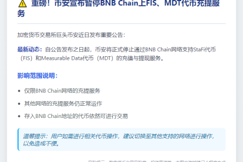 Binance暂停BNB链FIS、MDT充提