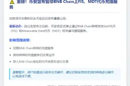 Binance暂停BNB链FIS、MDT充提