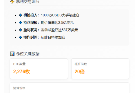 巨鲸1000万USDC做多BTC浮盈587万