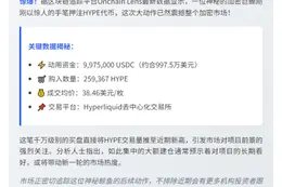 巨鲸斥资千万美元抄底HYPE