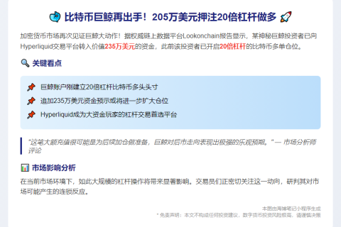 巨鲸豪掷235万美元做多比特币！