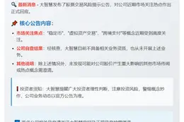 大智慧：无稳定币等业务资质