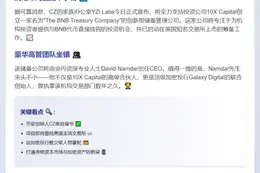 币安家族办公室注资BNB拟IPO企业