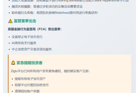 英国数字银行Ziglu进入破产管理