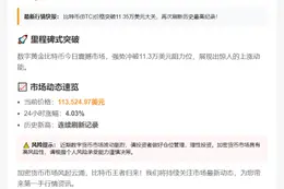 BTC飙升至113500美元新高