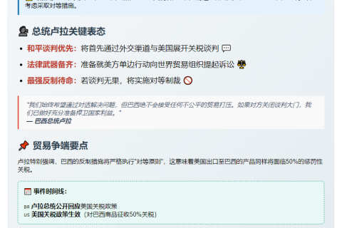 巴西总统：不排除对美关税反制