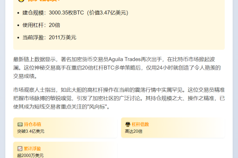 BTC多单20倍杠杆日赚2011万美元
