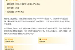 BTC多单20倍杠杆日赚2011万美元