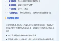 鲸鱼2倍做多PUMP存入135万USDC