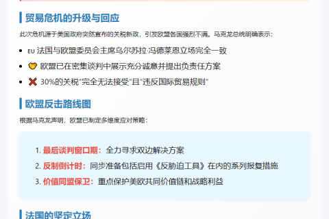 法总统"强烈"反对美加征关税