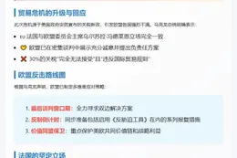 法总统"强烈"反对美加征关税