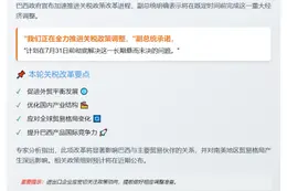 巴西副总统：7月31日前解决关税