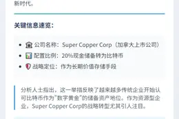 "Super Copper 拟配20%储备于比特币"