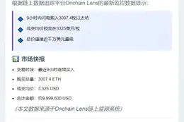 "WLFI 9小时购入3007枚ETH 均价3325美元"
