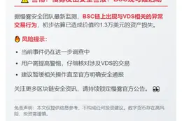 慢雾：BSC现VDS可疑活动 损失1.3万美元