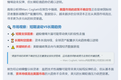 美元反弹不改长期跌势