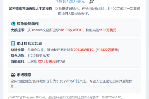 巨鲸7小时提币101枚BTC，持仓达206枚