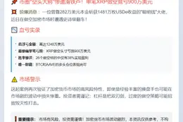 鲸鱼做空山寨币亏损1248万美元
