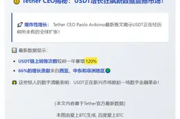 Tether CEO：USDT全球迅速增长