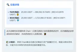 BNB基金会增持FAIR3与BGSC资产