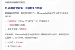 比特币矿企CEO涉欺诈被炒