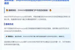 ZKWASM空投查询页面开放