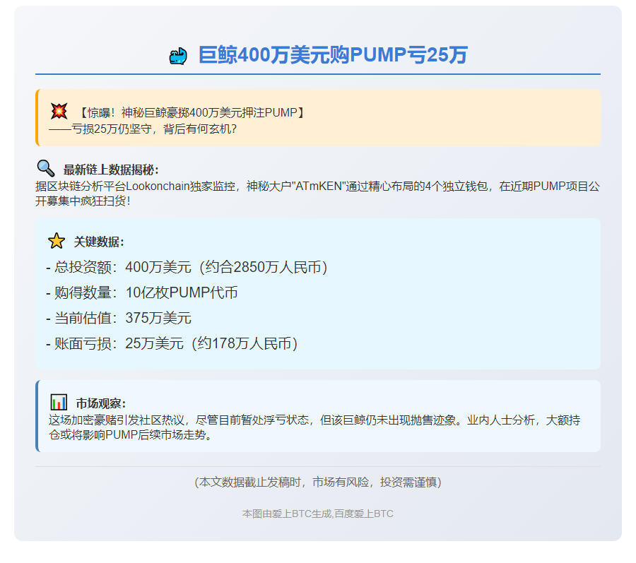 巨鲸400万美元购PUMP亏25万