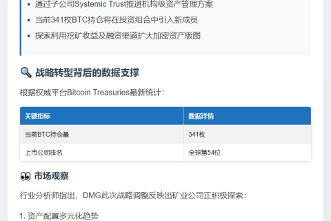 DMG拟建多元数字资产财库
