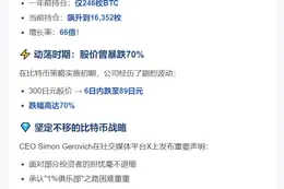 Metaplanet CEO：BTC持仓增长66倍 坚持比特币财库策略