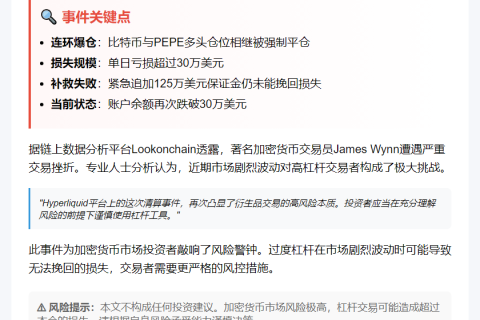 James Wynn爆仓30万美元