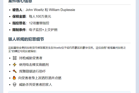 "纽约法院准两比特币绑架犯保释"