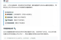 Volcon增持2903枚BTC，持仓达3183枚