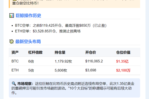 巨鲸11.6万美元开空1.35亿美元