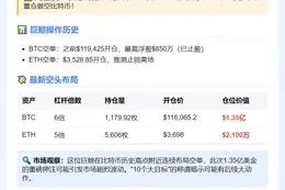 巨鲸11.6万美元开空1.35亿美元